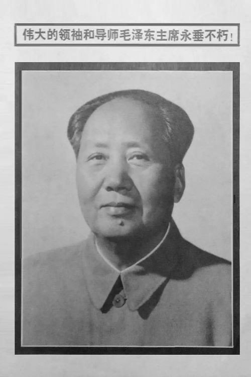 伟大的领袖和导师毛泽东主席永垂不朽 封面