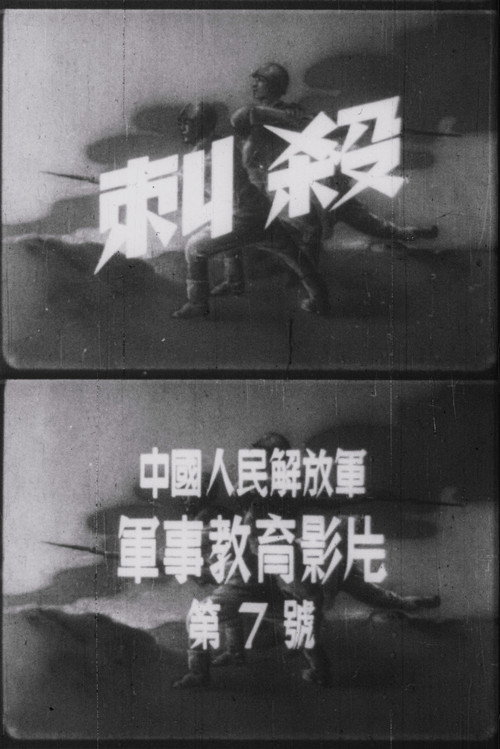 刺殺 封面