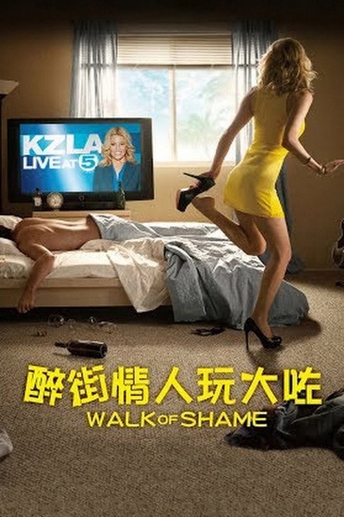 蒙羞之旅 封面