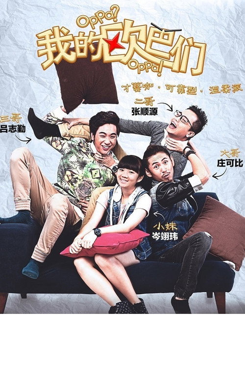 我的欧巴们 封面