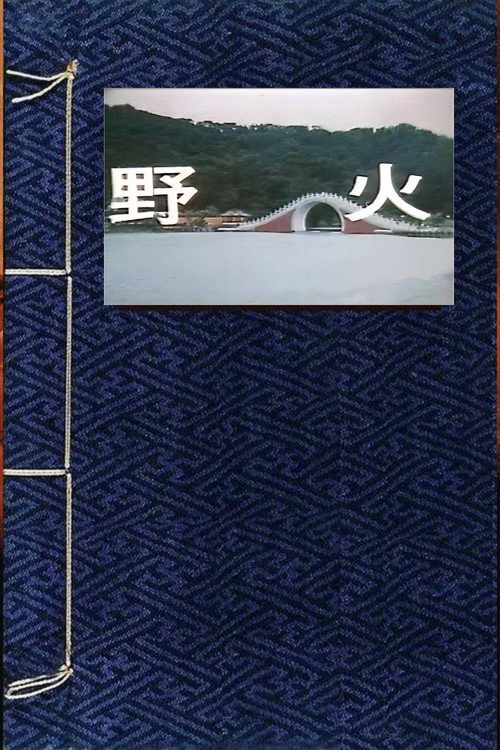 野火 封面