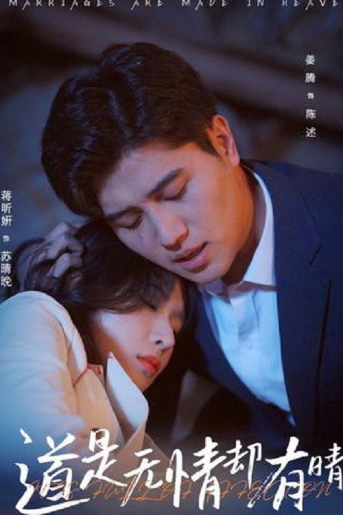 道是无情却有晴 封面