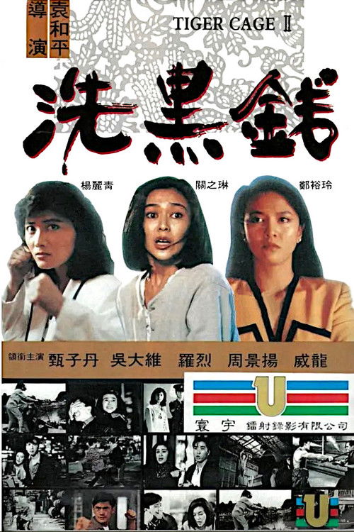 洗黑钱 封面