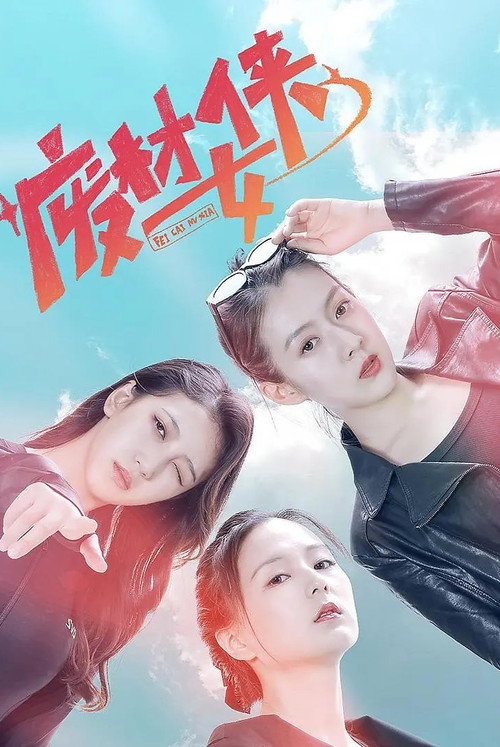 废材女侠 封面
