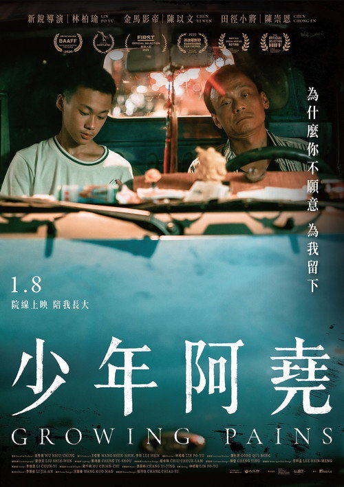 少年阿堯 封面