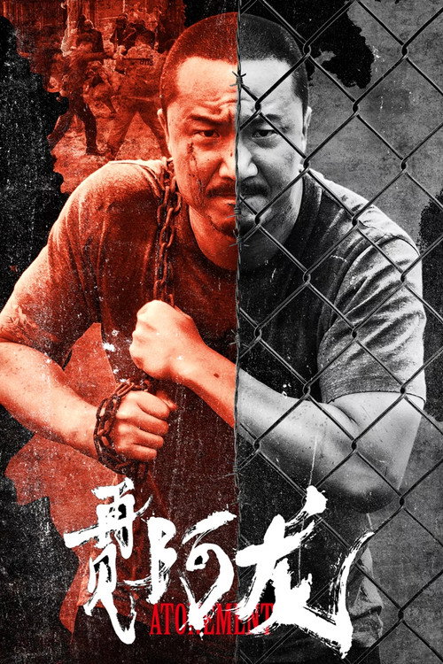 阿龙 封面