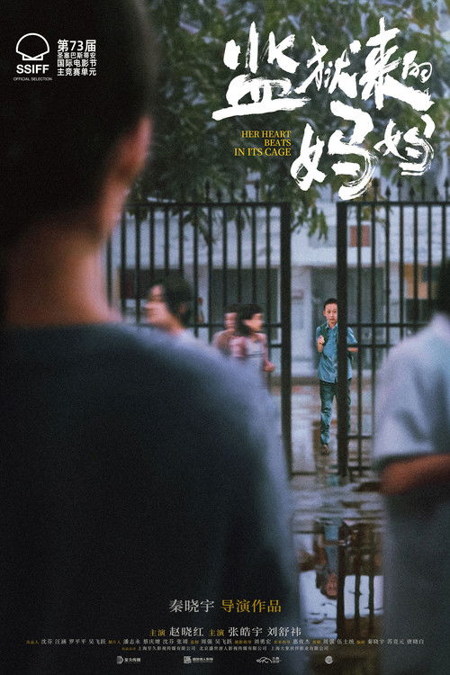 监狱来的妈妈 封面