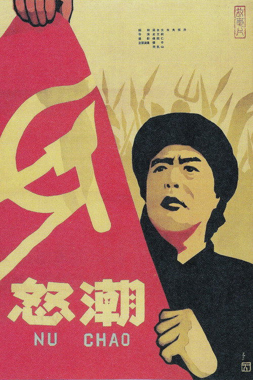 怒潮 封面