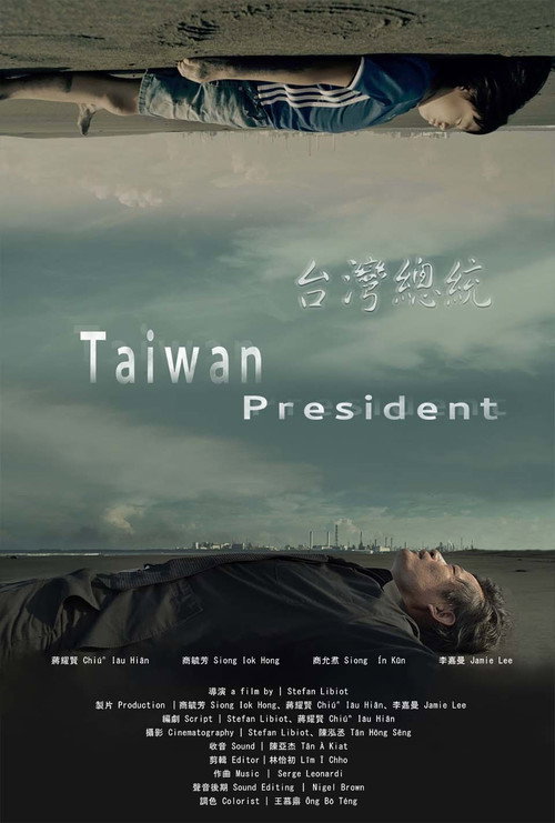 台灣總統 封面