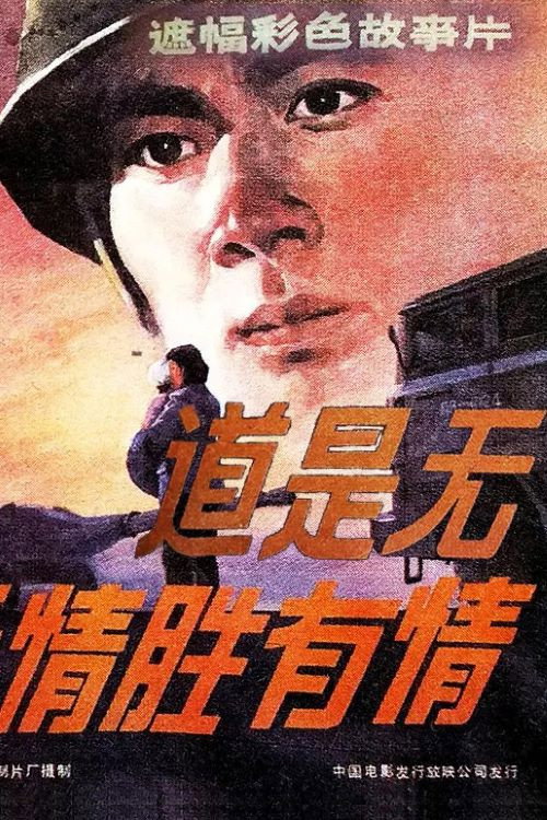 道是无情胜有情 封面