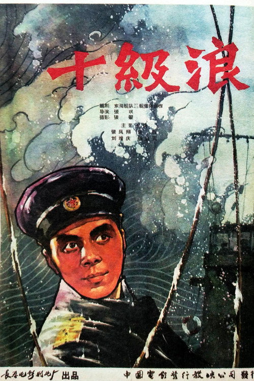 十级浪 封面