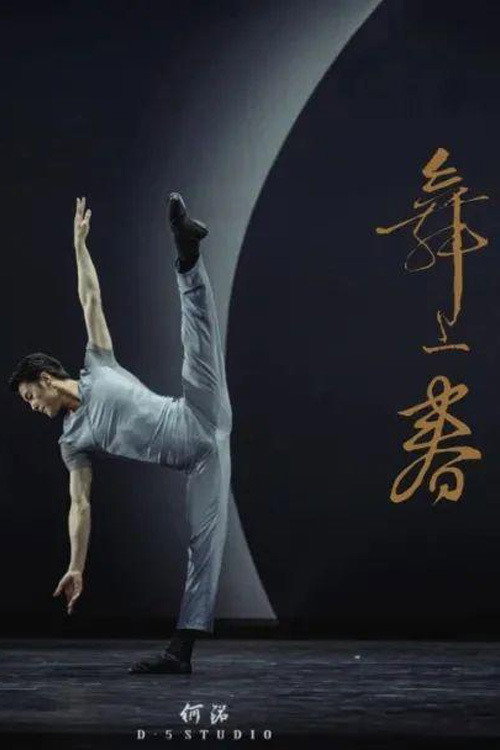 舞上春:中国歌剧舞剧院舞剧团业务考核展示 封面