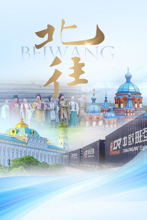 北往 封面