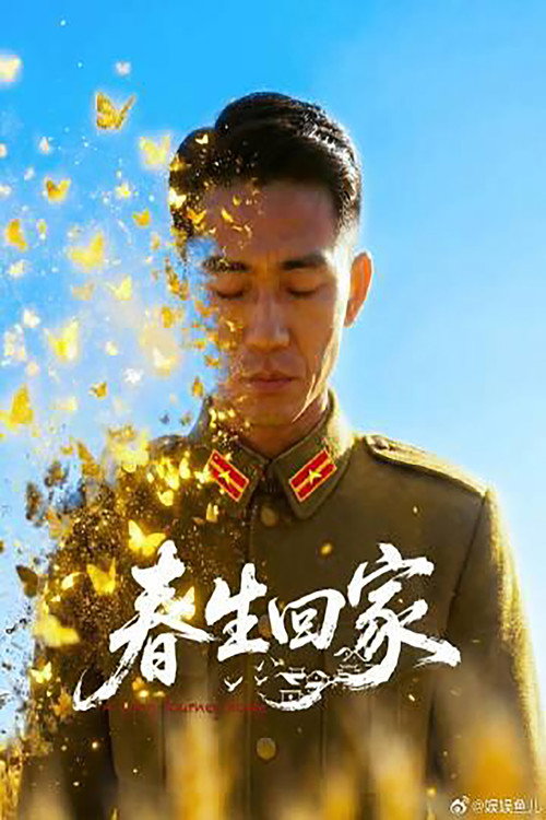 春生回家 封面