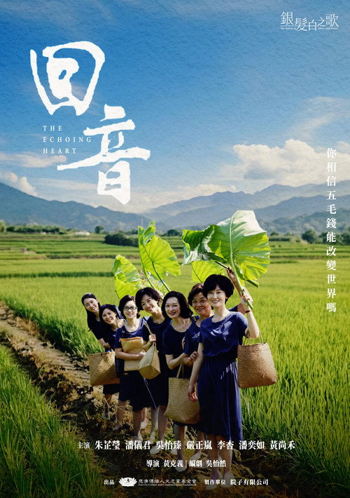 回音 封面