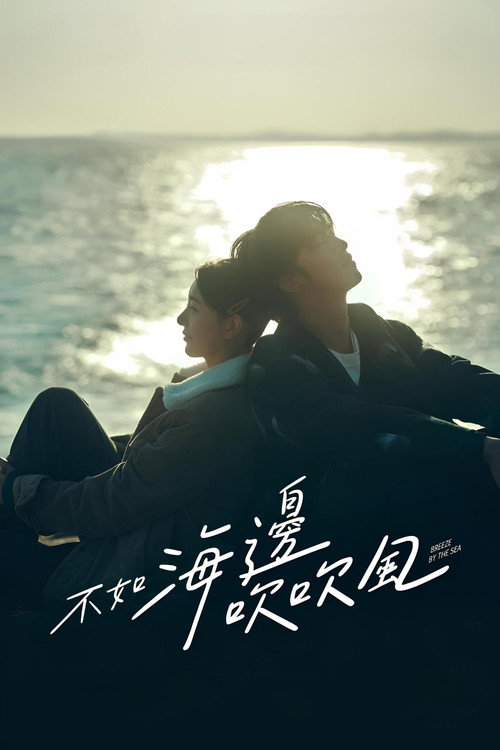 不如海边吹吹风 封面