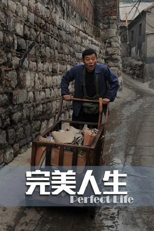 完美人生 封面