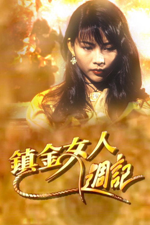 镇金女人周记 封面