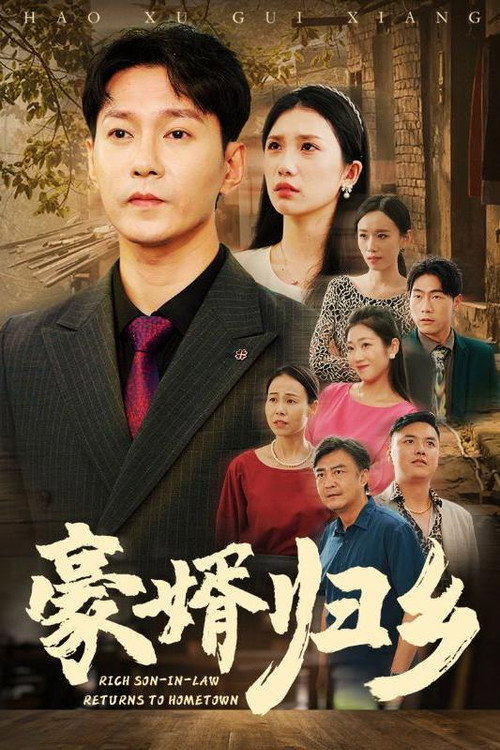 豪婿归乡 封面