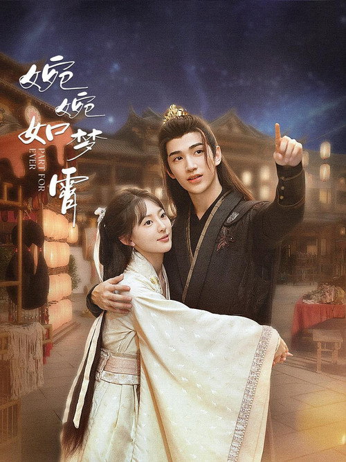 婉婉如梦霄 封面