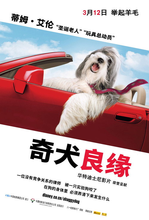 长毛狗 封面