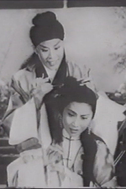 Suet-Sin's Sisters 封面