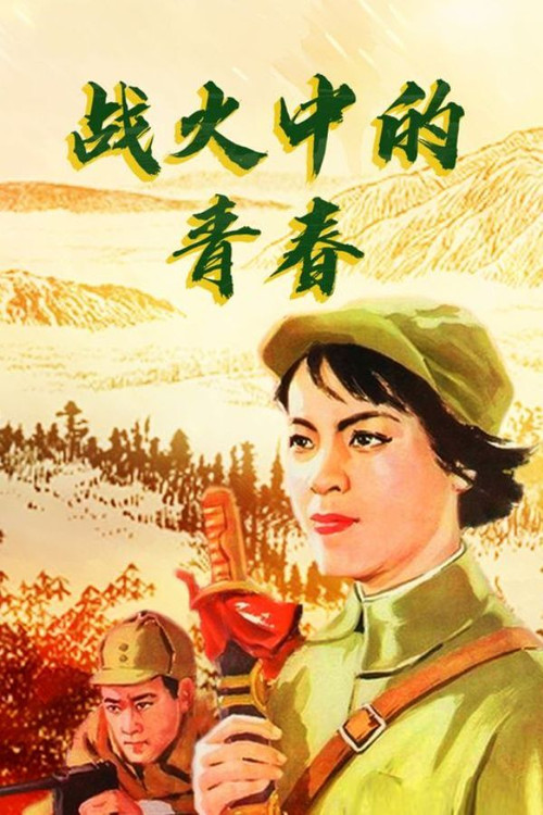战火中的青春 封面