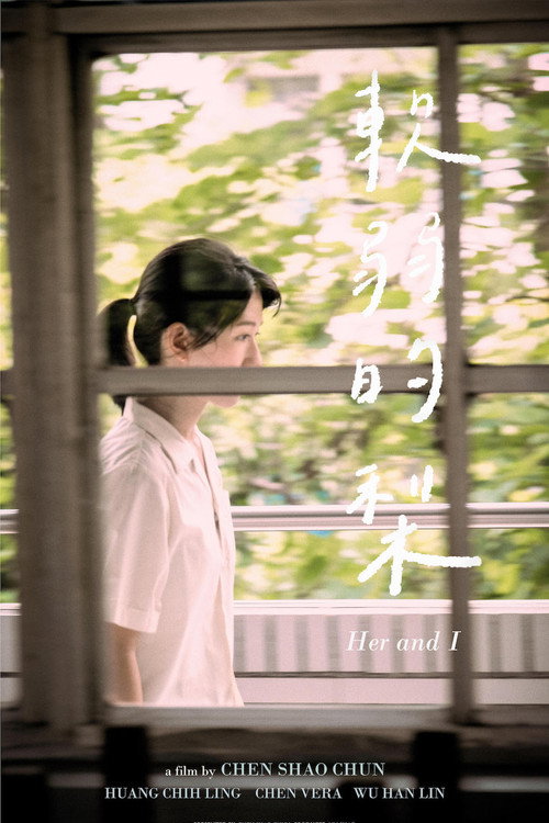 軟弱的梨 封面