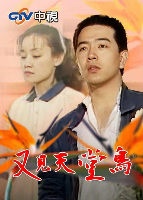 又见天堂鸟 封面