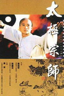 太极宗师 封面
