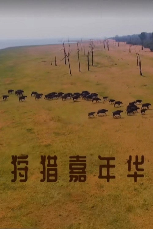 狩猎嘉年华 封面