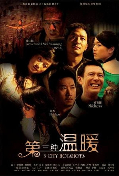 第三种温暖 封面