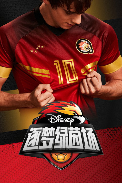 逐梦绿茵场 封面
