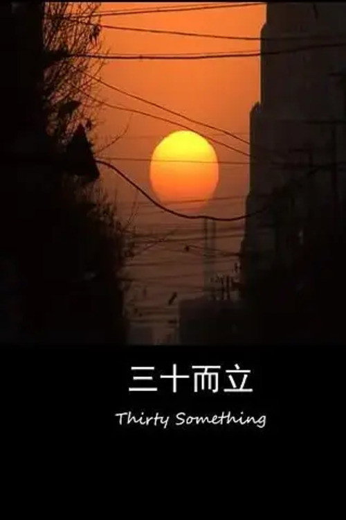 三十而立 封面