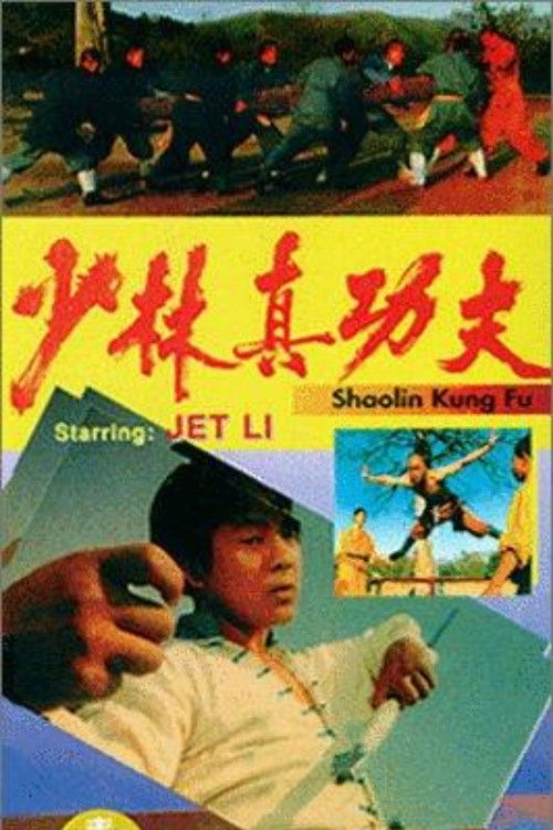 少林真功夫 封面