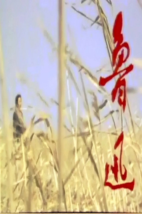 鲁迅 封面