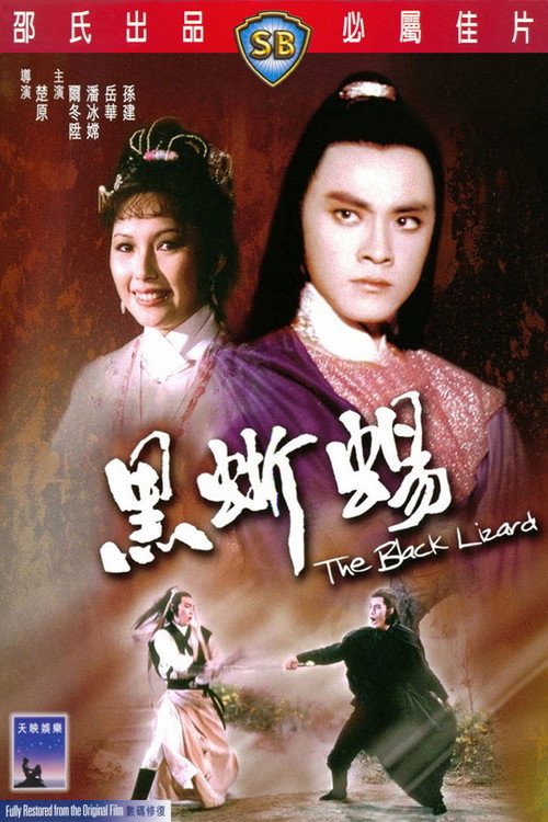 黑蜥蜴 封面