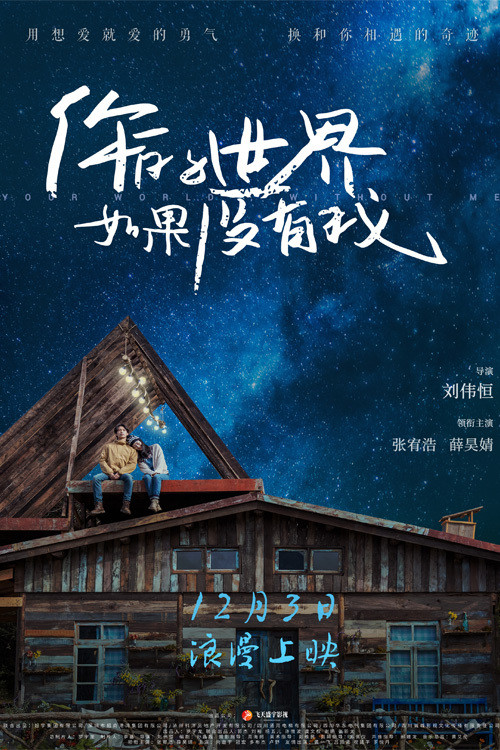 你的世界如果没有我 封面