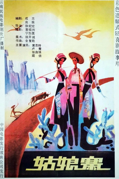 姑娘寨 封面