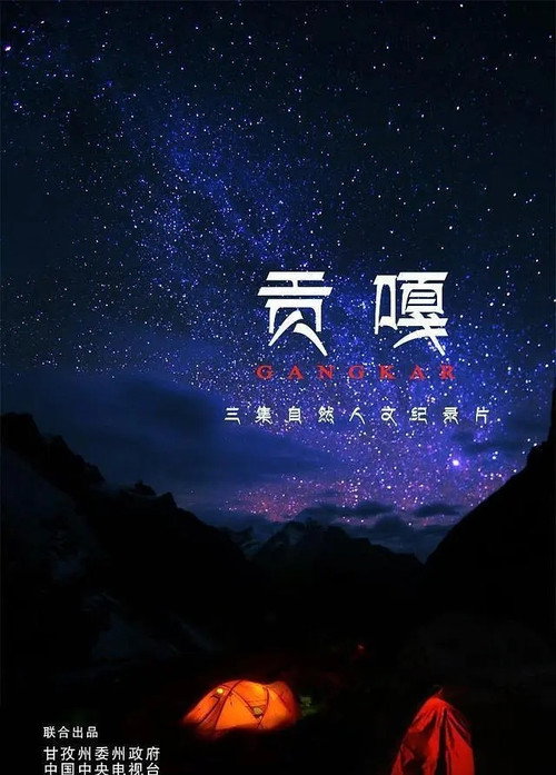 贡嘎 封面