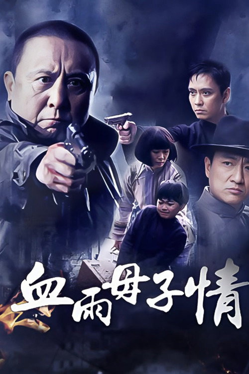 血雨母子情 封面