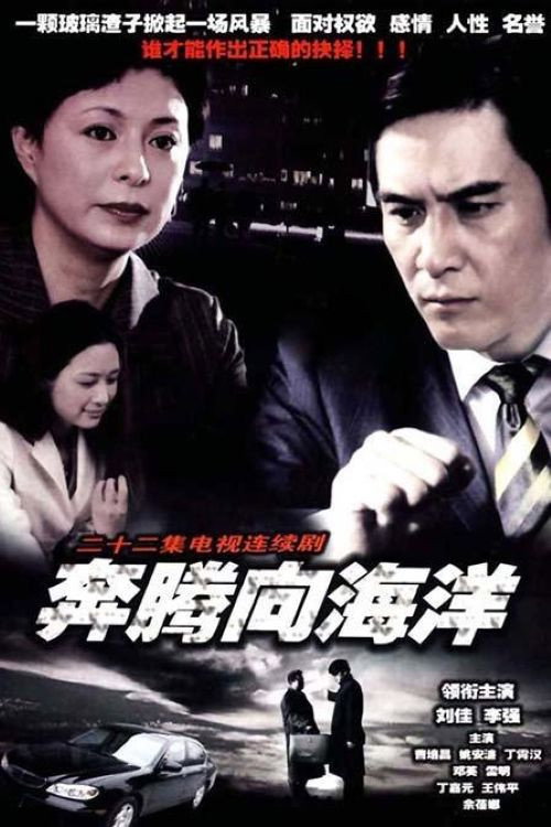 奔腾向海洋 封面