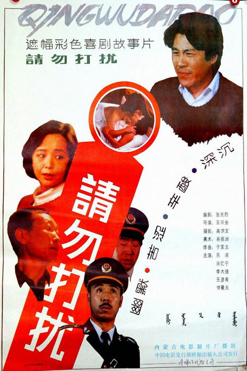 请勿打扰 封面