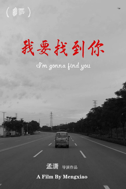 我要找到你 封面