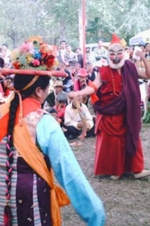 拉萨雪居民 封面