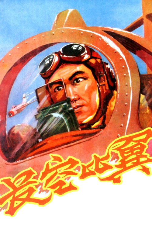 长空比翼 封面