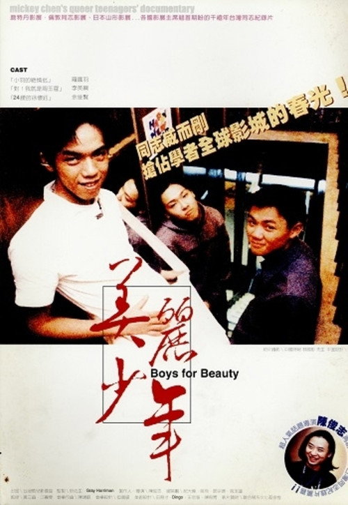 美麗少年 封面
