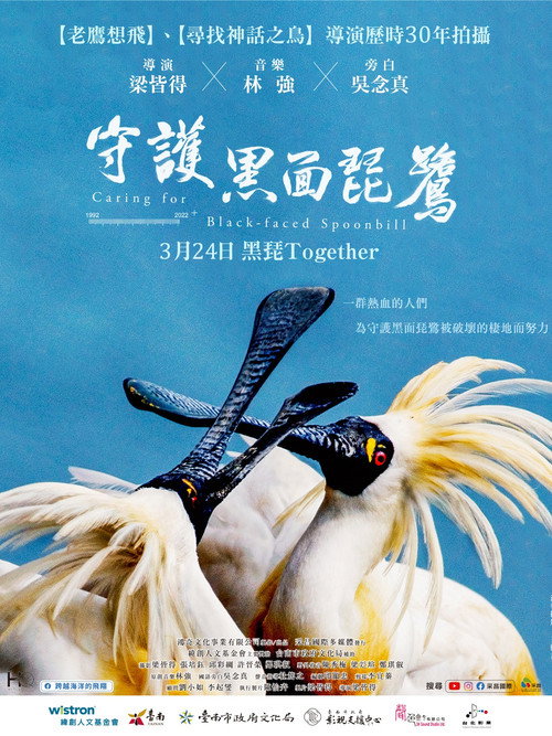 守护黑面琵鹭 封面
