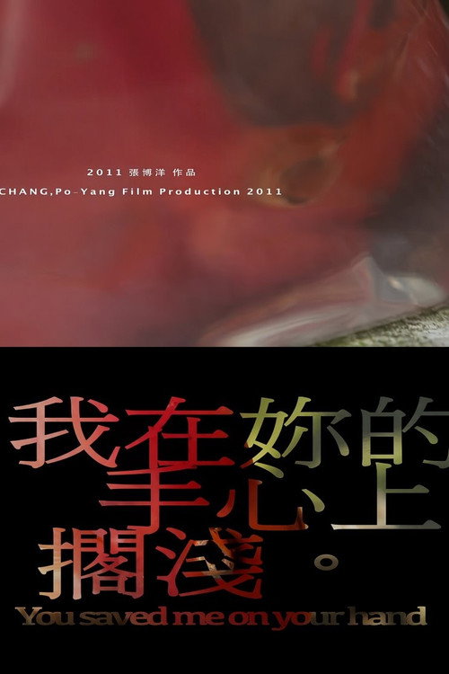 我在你的手心上搁浅 封面