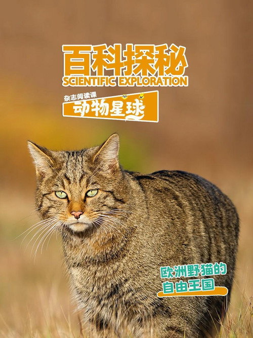 百科探秘动物星球 封面